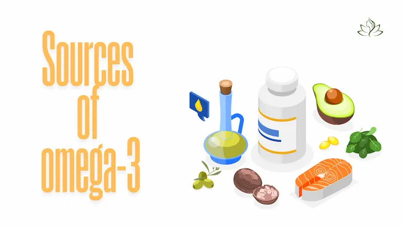 Omega-3 Fatty Acids for Lipid Balance