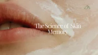 The Skin Memory: Discover How Your Skin Remembers Past Damage & Care